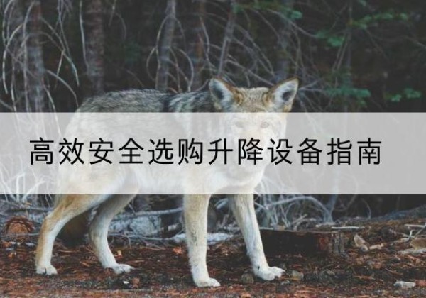 城子河升降货梯厂家推荐-*安全选购升降设备指南