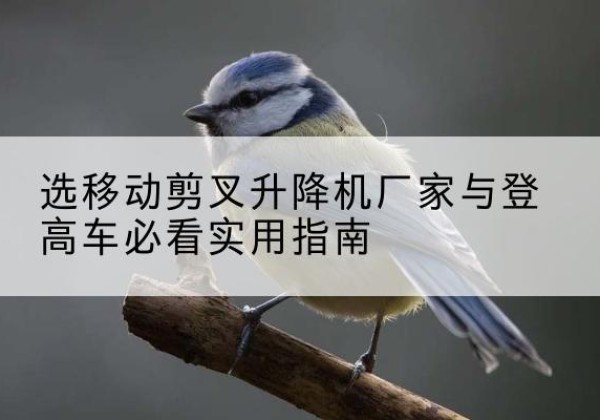 城子河电动升降机厂家-选移动剪叉升降机厂家与登高车必看实用指南