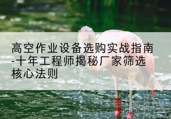 城子河剪叉式升降机厂家-高空作业设备选购实战指南-十年工程师揭秘厂家筛选核心法则